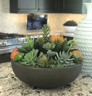 How to Spruce Up Your Home with Succulents