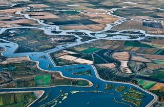 Water Bond... the Right Move to Keep CA Farmlands Thriving