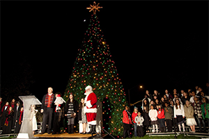 McCaffrey Homes' Christmas tree lighting raises more than $13,000 for local schools
