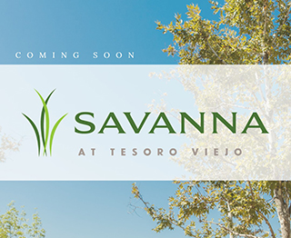 Introducing the Exciting New Savanna Collection
